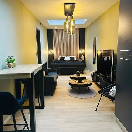 Elegant Avec Bain Balneotherapie * Liege