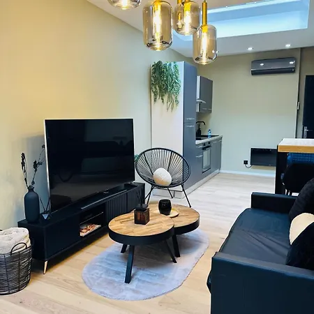 Elegant Avec Bain Balneotherapie 아파트 *